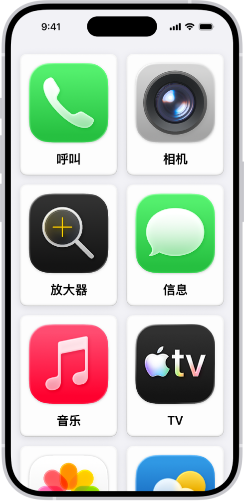 iPhone 显示辅助访问主屏幕带有大网格排列的 App。