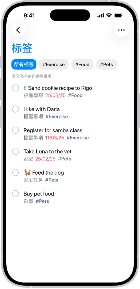“提醒事项” App 中带标签的提醒事项列表。顶部的按钮显示你可应用的其他标签。