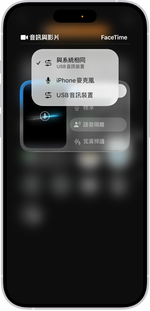 用於選擇 FaceTime 通話音訊輸入來源的控制項目。