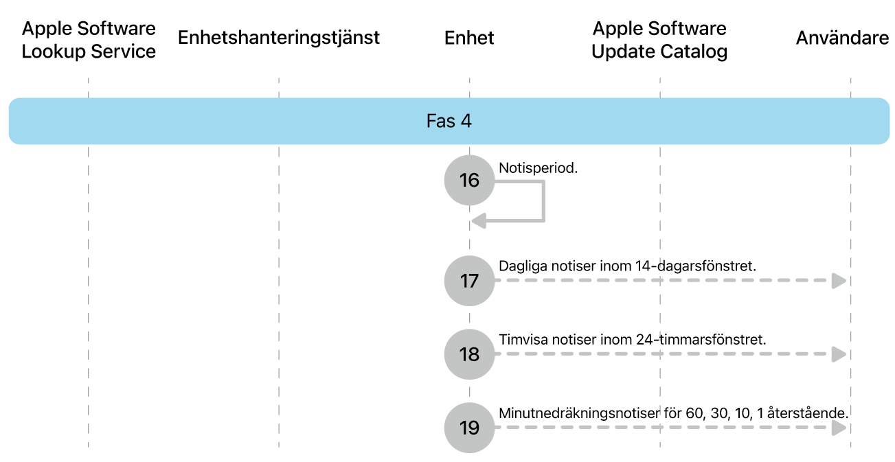 Fas 4 visar steg 16 till 19 i genomdrivingen av Apple-programuppdateringar.