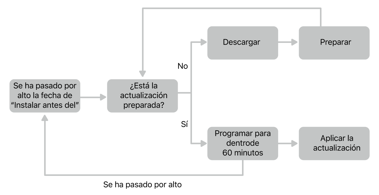 Diagrama de flujo de actualizaciones de software.
