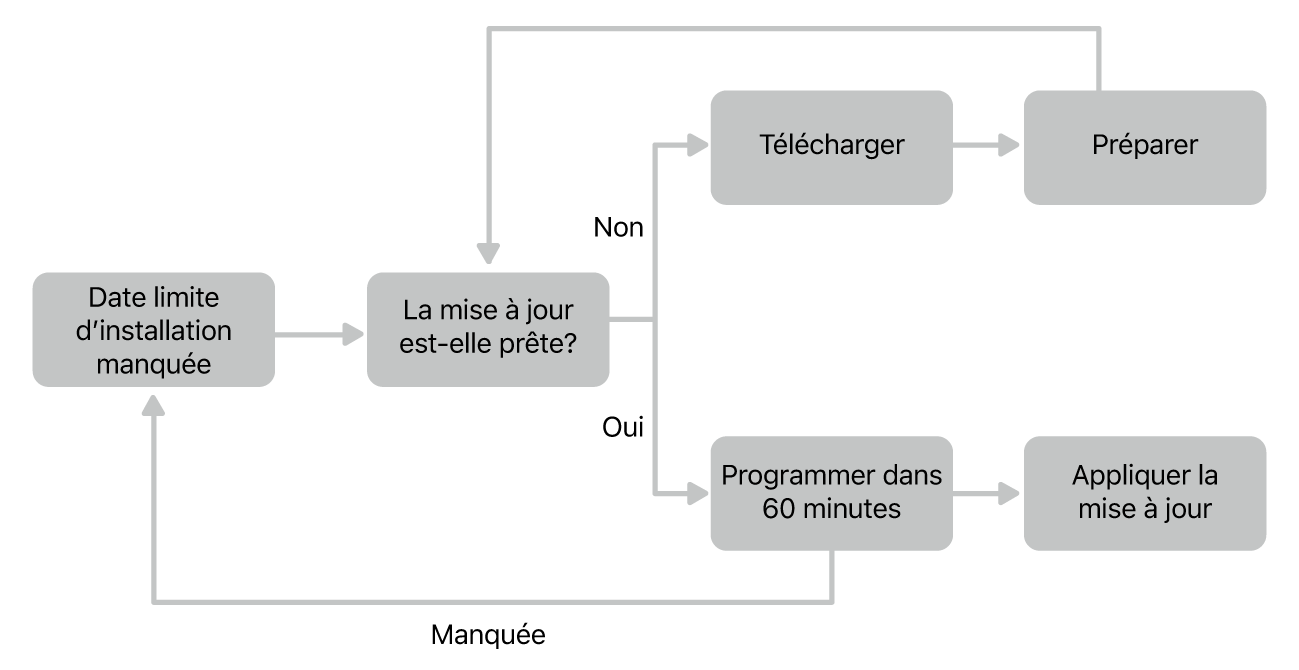 Organigramme des mises à jour logicielles.
