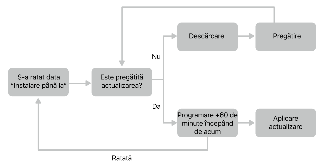 Diagramă flux actualizare software.