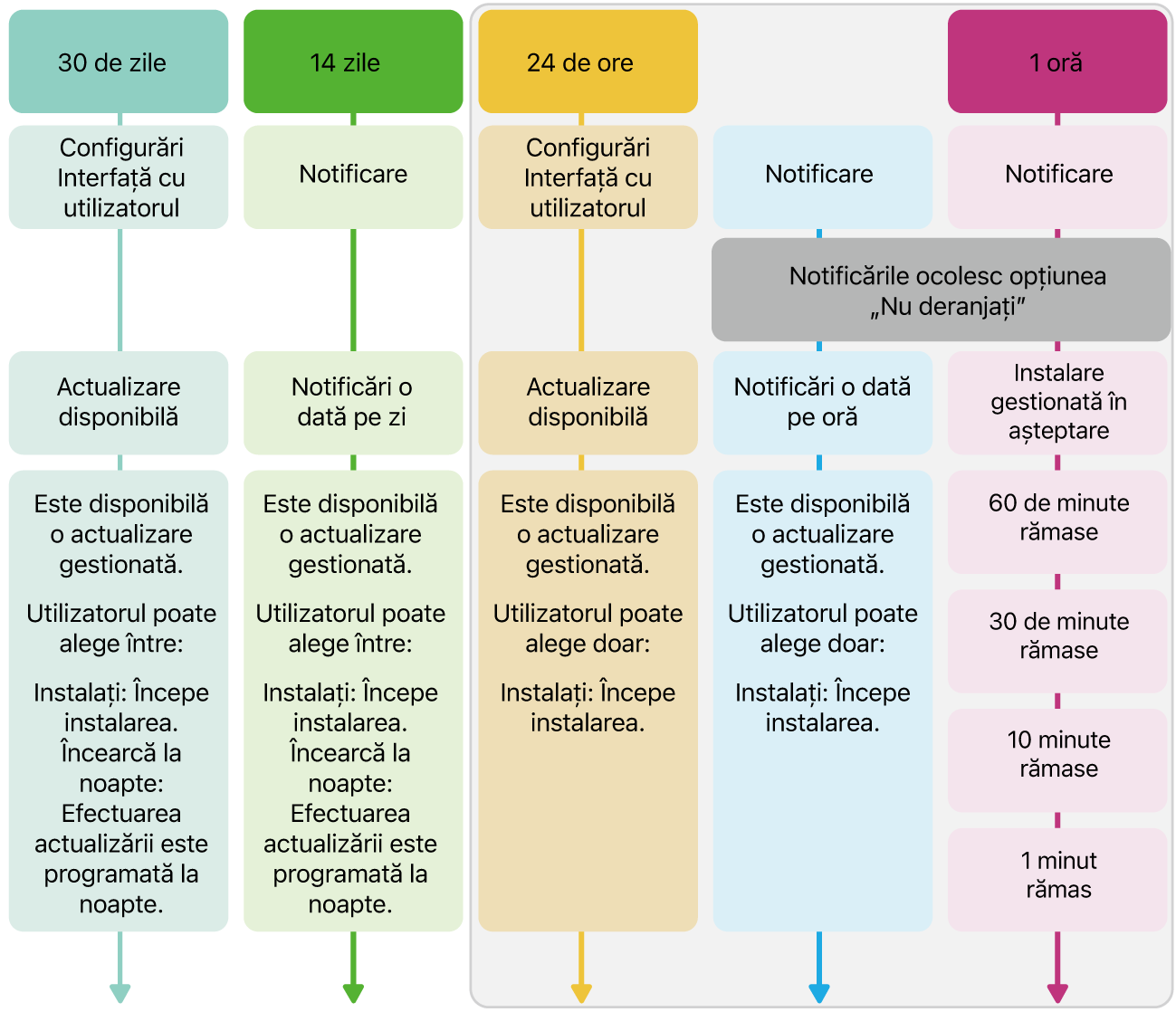 Informații privind disponibilitatea actualizării software.