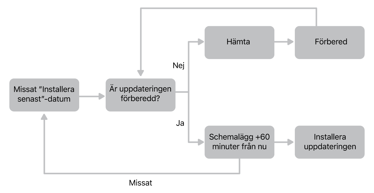Flödesschema för programuppdatering.
