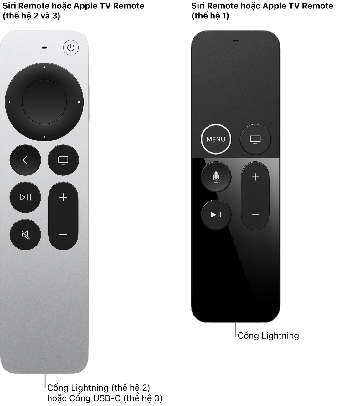 Hình ảnh của Siri/Apple TV Remote (thế hệ 2) và Siri/Apple TV Remote (thế hệ 1) đang hiển thị cổng đang sạc