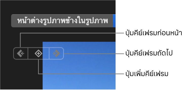 ปุ่มคีย์เฟรมก่อนหน้า คีย์เฟรมถัดไป และลบคีย์เฟรม ในหน้าต่างแสดง