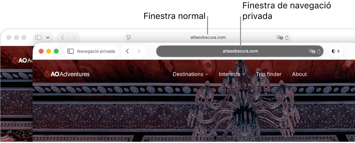 En un Mac, una finestra normal del Safari amb el camp de cerca intel·ligent il·luminat, i una finestra privada del Safari amb el camp de cerca intel·ligent fosc.