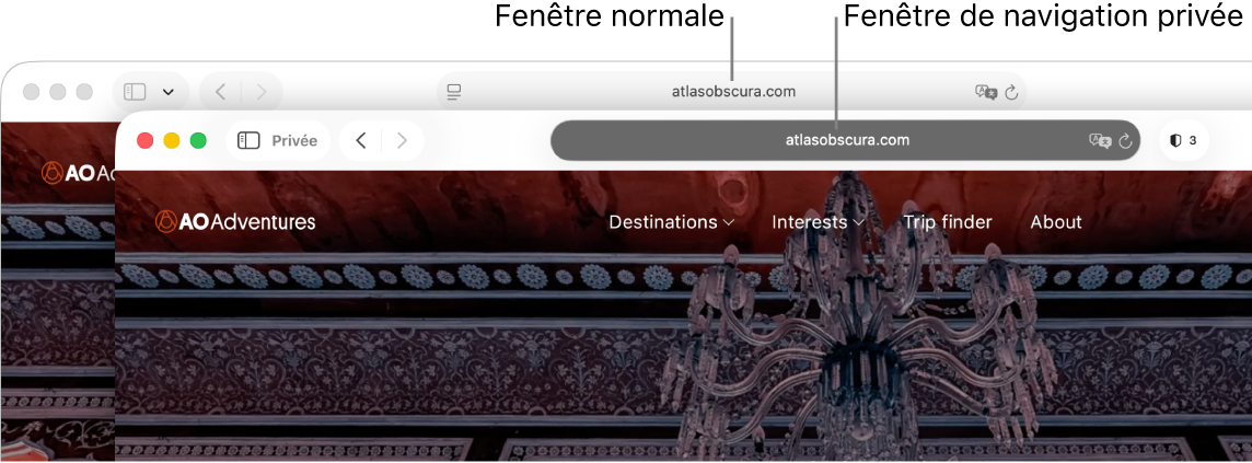 Une fenêtre Safari normale sur un Mac avec son champ de recherche intelligente de couleur pâle et une fenêtre Safari privée avec son champ de recherche intelligente de couleur foncée.
