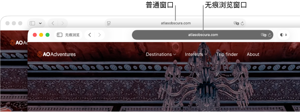 Mac 上的 Safari 浏览器常规窗口,其智能搜索栏为浅色;以及 Safari 浏览器无痕浏览窗口,其智能搜索栏为深色。
