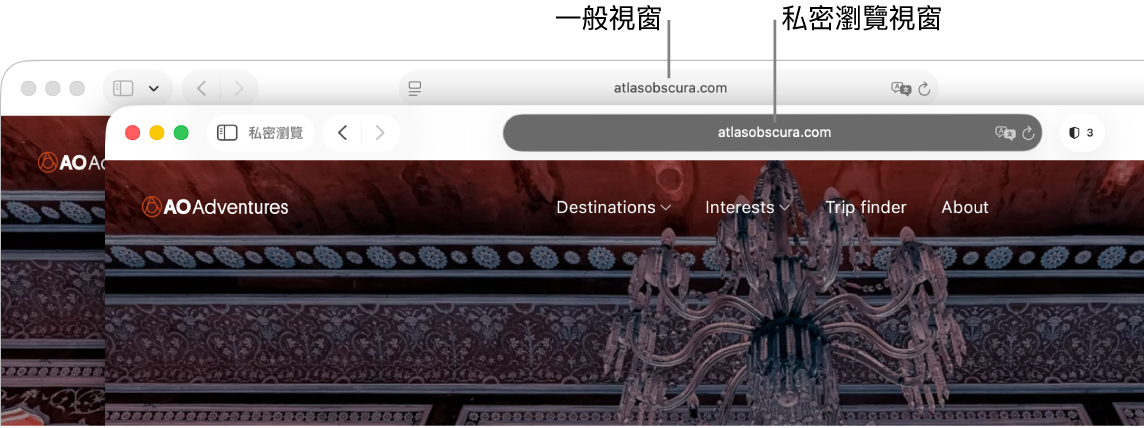 Mac 上的一般 Safari 視窗及其淺色「智慧型搜尋」欄位,以及私密 Safari 視窗及其深色「智慧型搜尋」欄位。