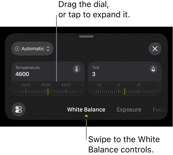 The White Balance controls, including the Temperature and Tint dials, with a menu above for switching between automatic and manual white balance adjustments.