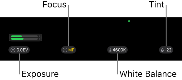 The top of the camera screen showing the exposure, focus, white balance, and tint settings.