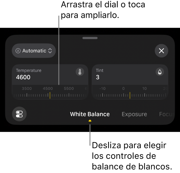 Los controles de balance de blancos, incluidos los diales de temperatura y tono, con un menú arriba para cambiar entre los ajustes automáticos y manuales del balance de blancos.