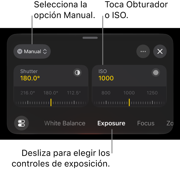 Los controles de exposición, con el menú desplegable de la parte superior configurado como Manual y los diales de obturador e ISO en la parte inferior.