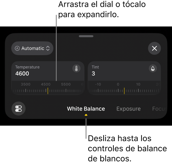 Los controles de balance de blancos, incluidos los diales Temperatura y Tinte, con un menú por encima para cambiar entre los ajustes automáticos y manuales del balance de blancos.