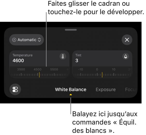 Les commandes « Équil. des blancs », y compris les cadrans Température et Teinte, avec un menu au-dessus pour basculer entre les réglages automatiques et manuels de l’équilibrage des blancs.
