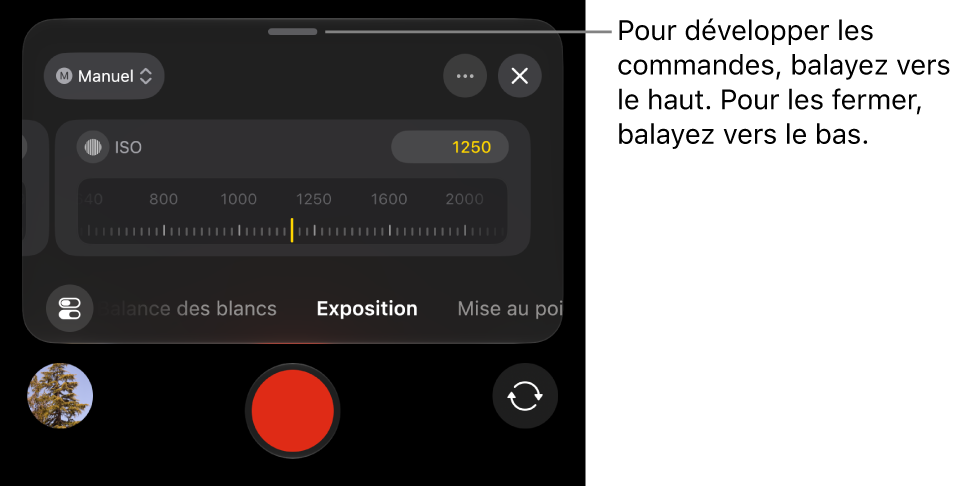 Commandes d’exposition, avec une poignée en haut pour fermer les commandes.