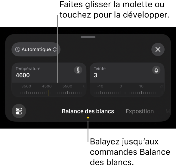 Commandes de balance des blancs, incluant les molettes Température et Teinte, avec un menu au-dessus pour passer du réglage automatique de la balance des blancs au réglage manuel et vice versa.