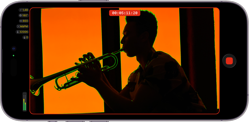 Écran de Final Cut Camera, avec la superposition de mise au point affichant les zones nettes de l’image en vert vif.