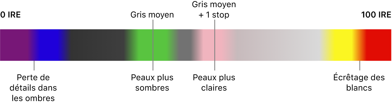 Carte de fausses couleurs allant de 0 IRE à gauche à 100 IRE à droite, montrant comment les couleurs sont associées à la perte de détails dans les ombres, au gris moyen, aux tons de peau et à l’écrêtage. Du violet et du bleu proches de 0 IRE indiquent une perte de détails dans les ombres. Au milieu de la plage, le vert, le rose et le gris indiquent le gris moyen et les tons de peau. Le jaune et le rouge proches de 100 IRE indiquent un écrêtage des blancs.