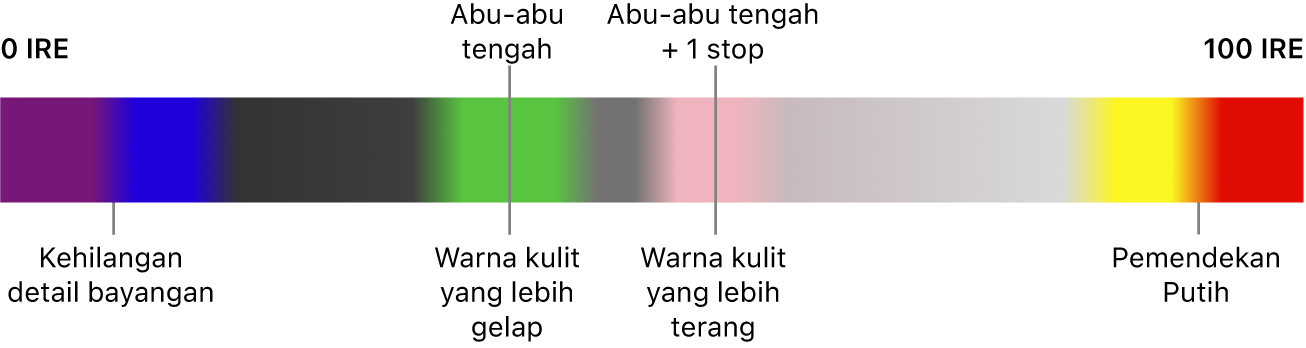 Bagan warna semua yang berkisar dari 0 IRE di sebelah kiri hingga 100 IRE di sebelah kanan, yang menunjukkan hubungan antara warna dengan hilangnya detail pada bayangan, abu-abu tengah, warna kulit, dan pemotongan. Ungu dan biru di dekat 0 IRE menunjukkan hilangnya detail pada bayangan. Di tengah rentang, hijau, pink, dan abu-abu menunjukkan abu-abu tengah dan warna kulit. Kuning dan merah di dekat 100 IRE menunjukkan pemotongan putih.