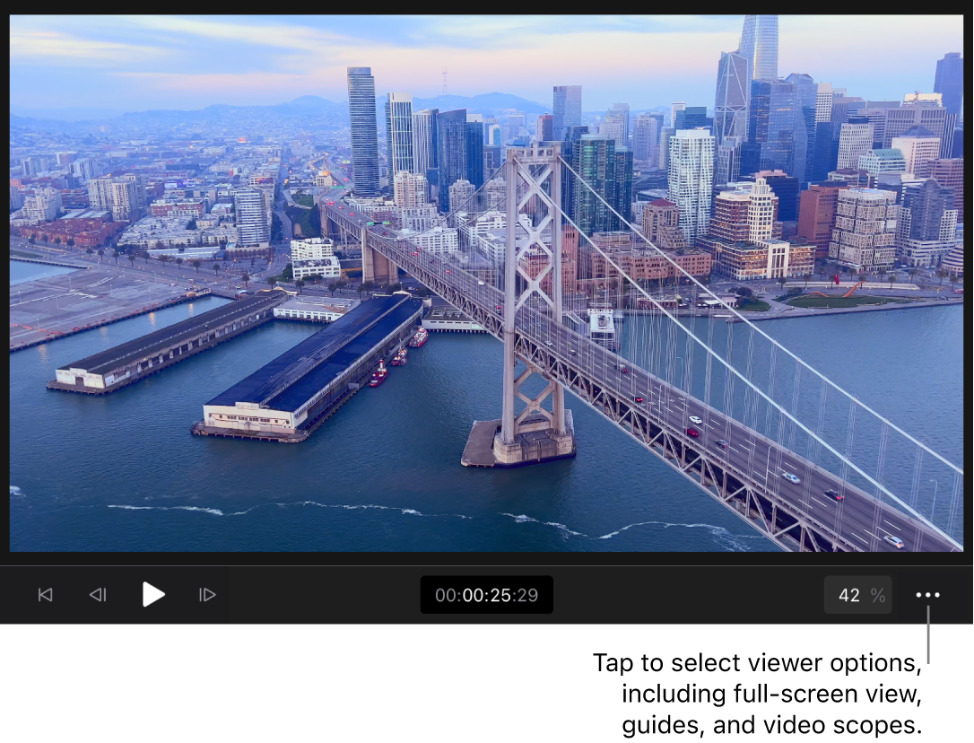 A video image in the viewer, with playback controls, timecode, the Zoom Level control, and the Viewer Options button below.