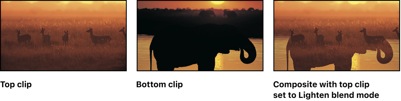An example of Lighten blending, showing two source images and the resulting blended image.
