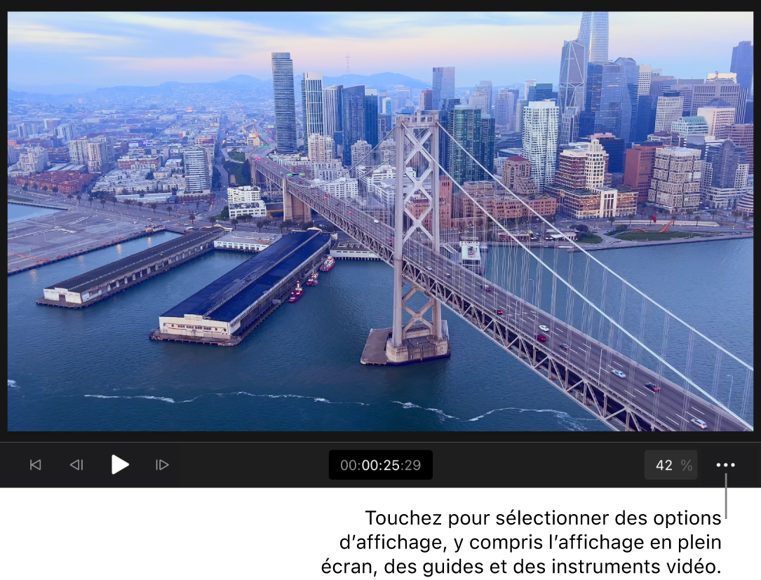 Une image vidéo dans le visualiseur, avec commandes de lecture, timecode, la commande « Niveau de zoom » et le bouton « Options du visualiseur » en dessous.