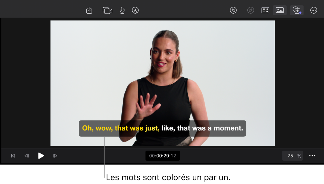 Visualiseur affichant un sous-titre avec une animation de remplissage de couleur.