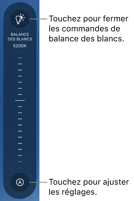 La molette « Balance des blancs » avec un bouton Auto au bas.