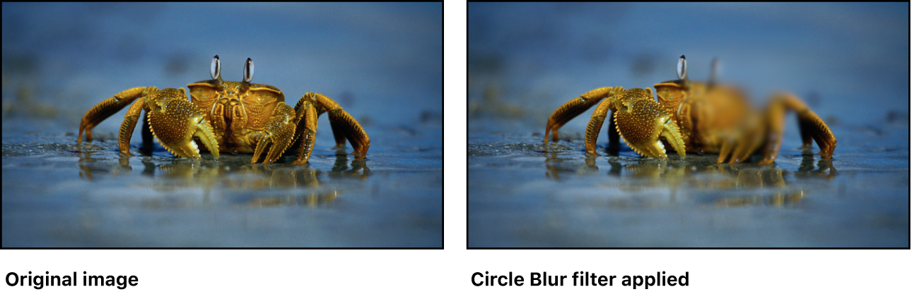 Canvas mit dem Effekt des Filters „Kreis weichzeichnen“