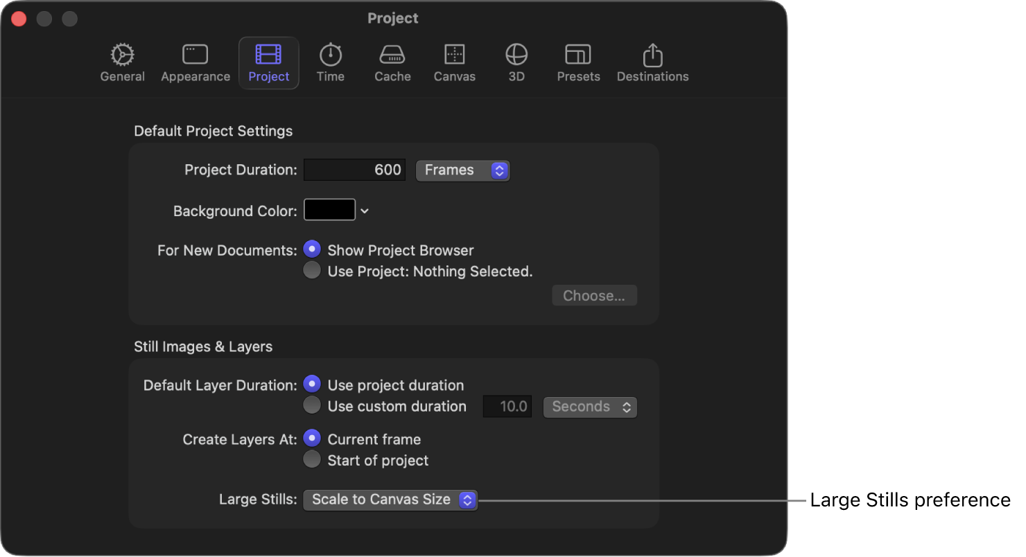 Settings window showing Project pane with Large Stills pop-up menu set to Scale to Canvas Size