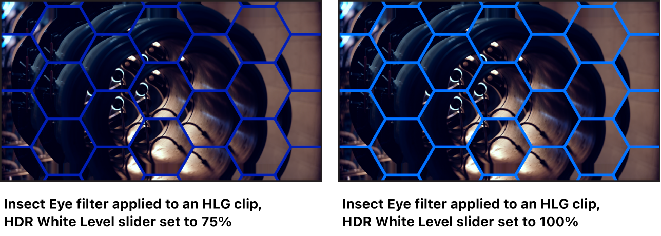Lienzo donde se muestran los efectos de ajustar el regulador “Nivel de blanco HDR” en el filtro “Ojo de insecto”.