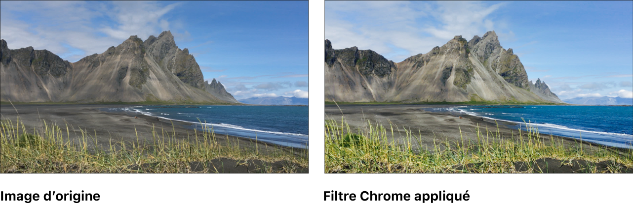 Canevas affichant l’effet du filtre Chrome