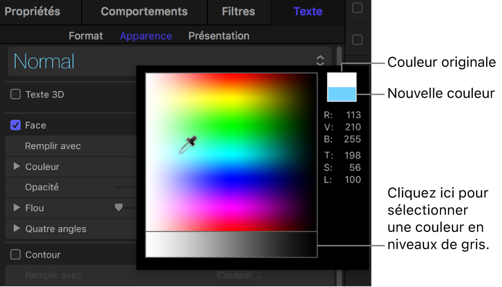 Palette des couleurs affichant les échantillons de couleurs d’origine et nouveau, ainsi que la zone de sélection de couleur en niveaux de gris
