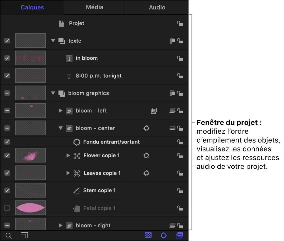 Fenêtre Projet
