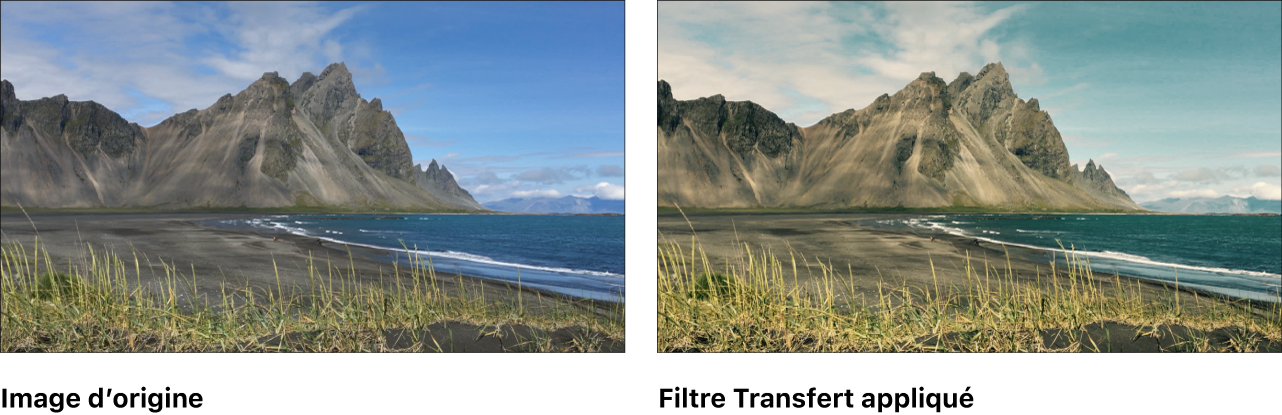 Canevas affichant l’effet du filtre Transfert