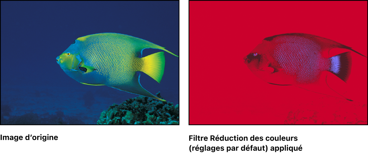 Canevas affichant l’effet du filtre Réduction des couleurs