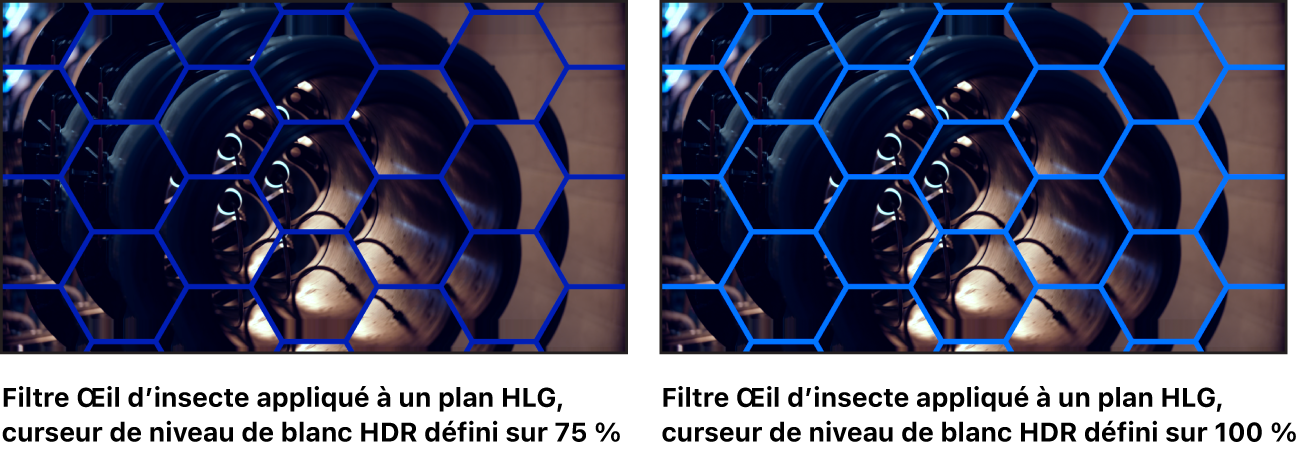 Le canevas montrant les effets des ajustements du curseur « Niveau de blanc HDR » sur le filtre « Œil d’insecte ».