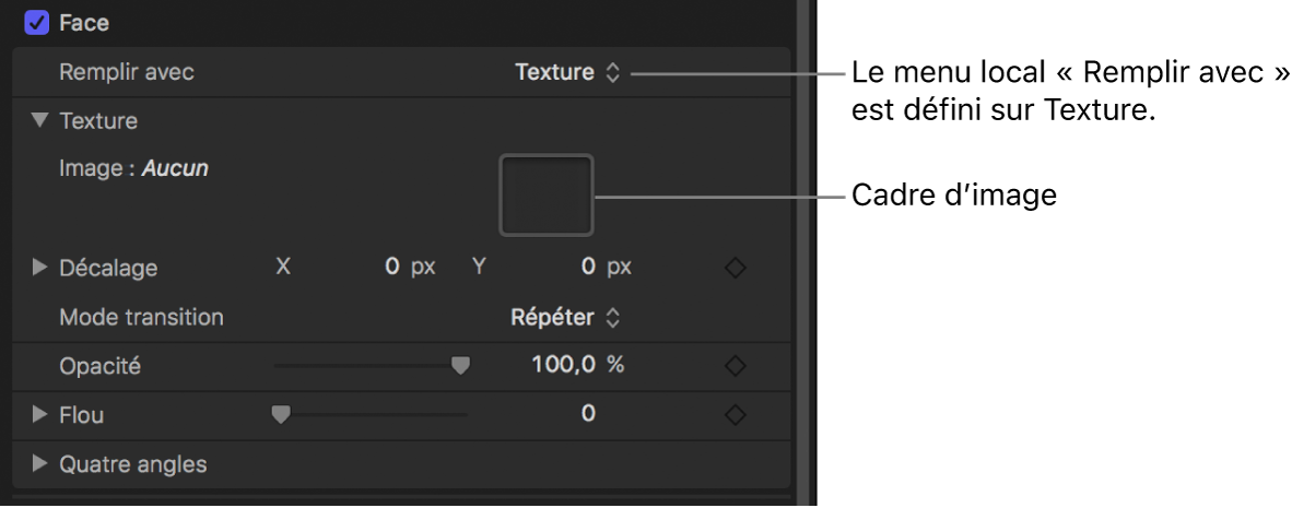 Inspecteur de texte avec paramètre « Remplir avec » du style de texte réglé sur Texture, révélant le cadre d’image