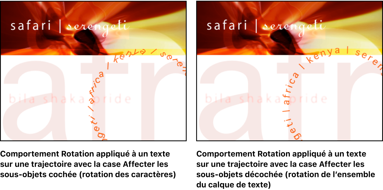 Canevas affichant l’effet produit par le réglage Affecter les sous-objets : lorsque le réglage est activé, les différentes lettres se mettent à tourner. Quand il est désactivé, le calque de texte pivote dans son intégralité.