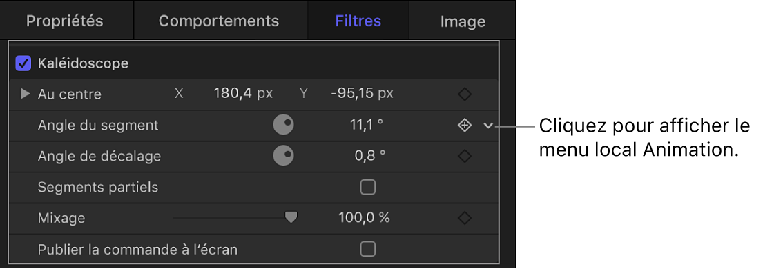 Petite flèche vers le bas représentant le menu Animation