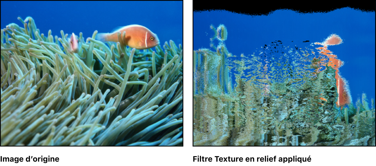 Canevas affichant l’effet du filtre Texture en relief