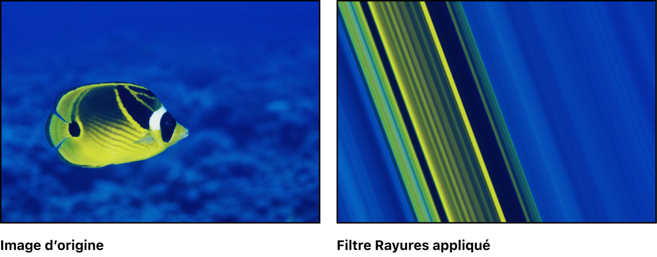 Canevas affichant l’effet du filtre Rayures