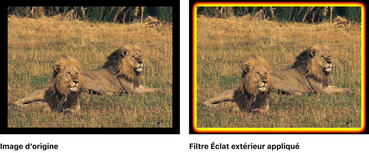 Canevas affichant l’effet du filtre Éclat extérieur