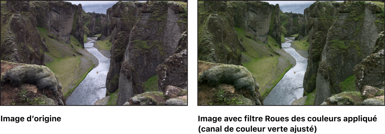 Canevas affichant l’effet du filtre Roues des couleurs (avec le canal du vert des tons intermédiaires ajusté)