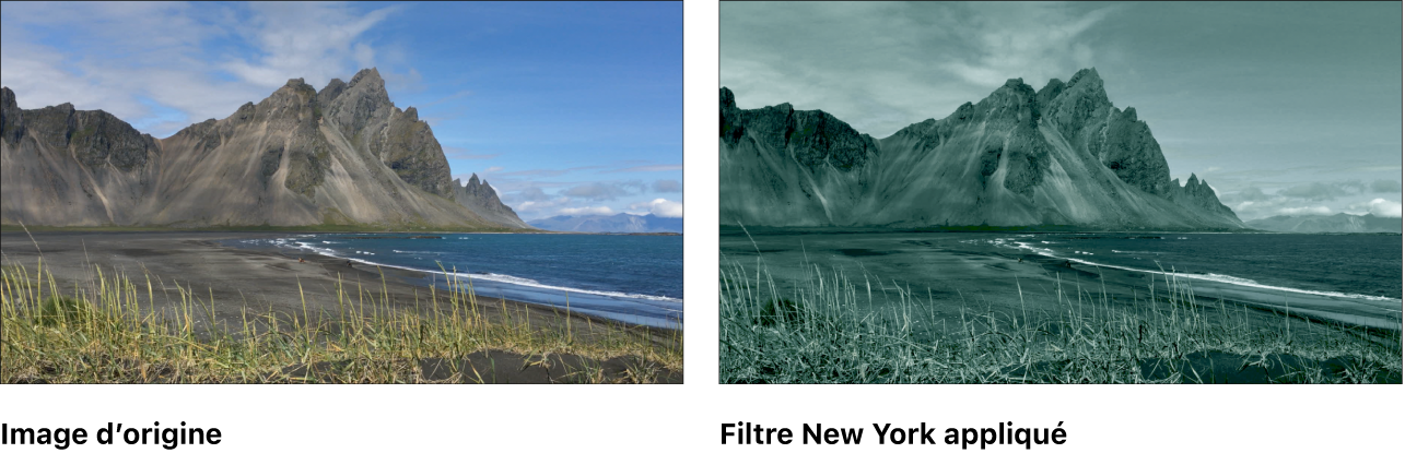 Canevas affichant l’effet du filtre New York
