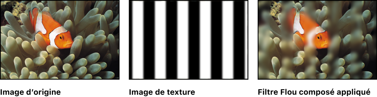 Canevas affichant l’effet du filtre Flou composé