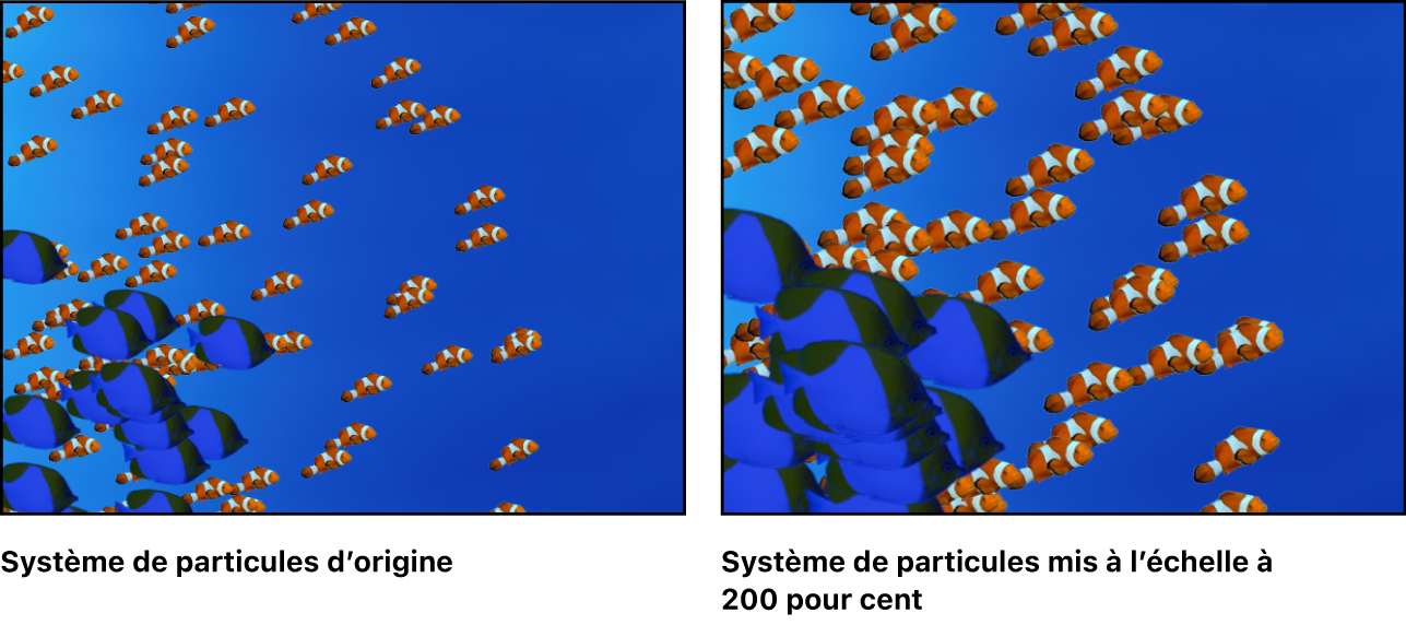 Canevas affichant un système de particules avec deux cellules, chacune mise à l’échelle par rapport à sa taille d’origine